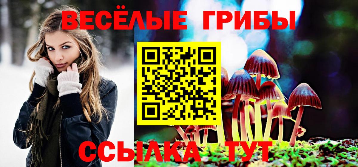 Галлюциногенные грибы MAGIC MUSHROOMS Псков