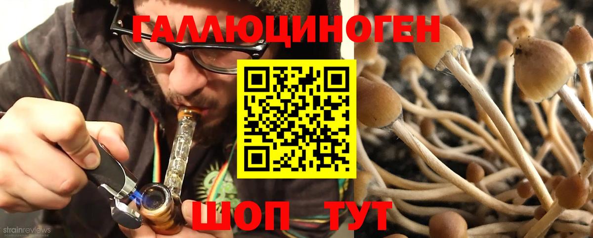 Галлюциногенные грибы GOLDEN TEACHER  Вход с VPN  Псков 